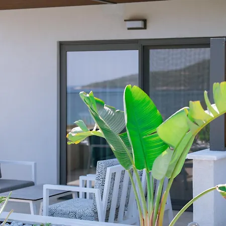 Aloe Elegant 4*