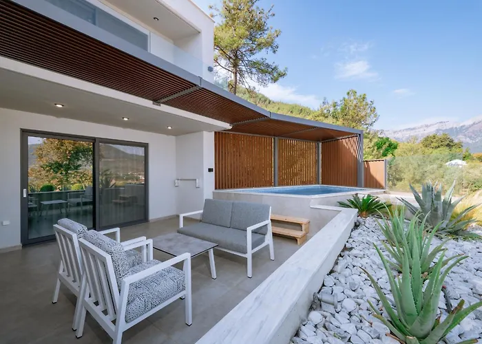 Aloe Elegant スカラ・ポタミアス